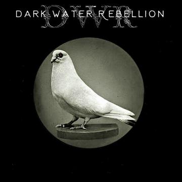 Dark Water Rebellion, Back Porch Blvd and Derek McLean Trio